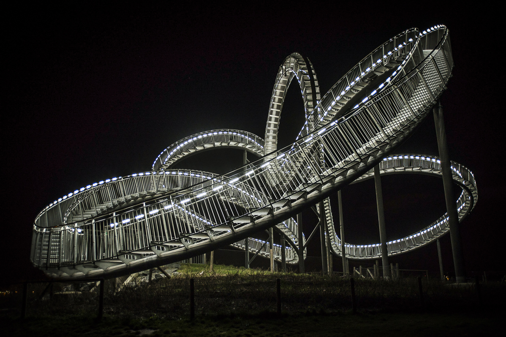 Tiger and Turtle