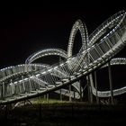 Tiger and Turtle