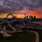 Tiger and Turtle