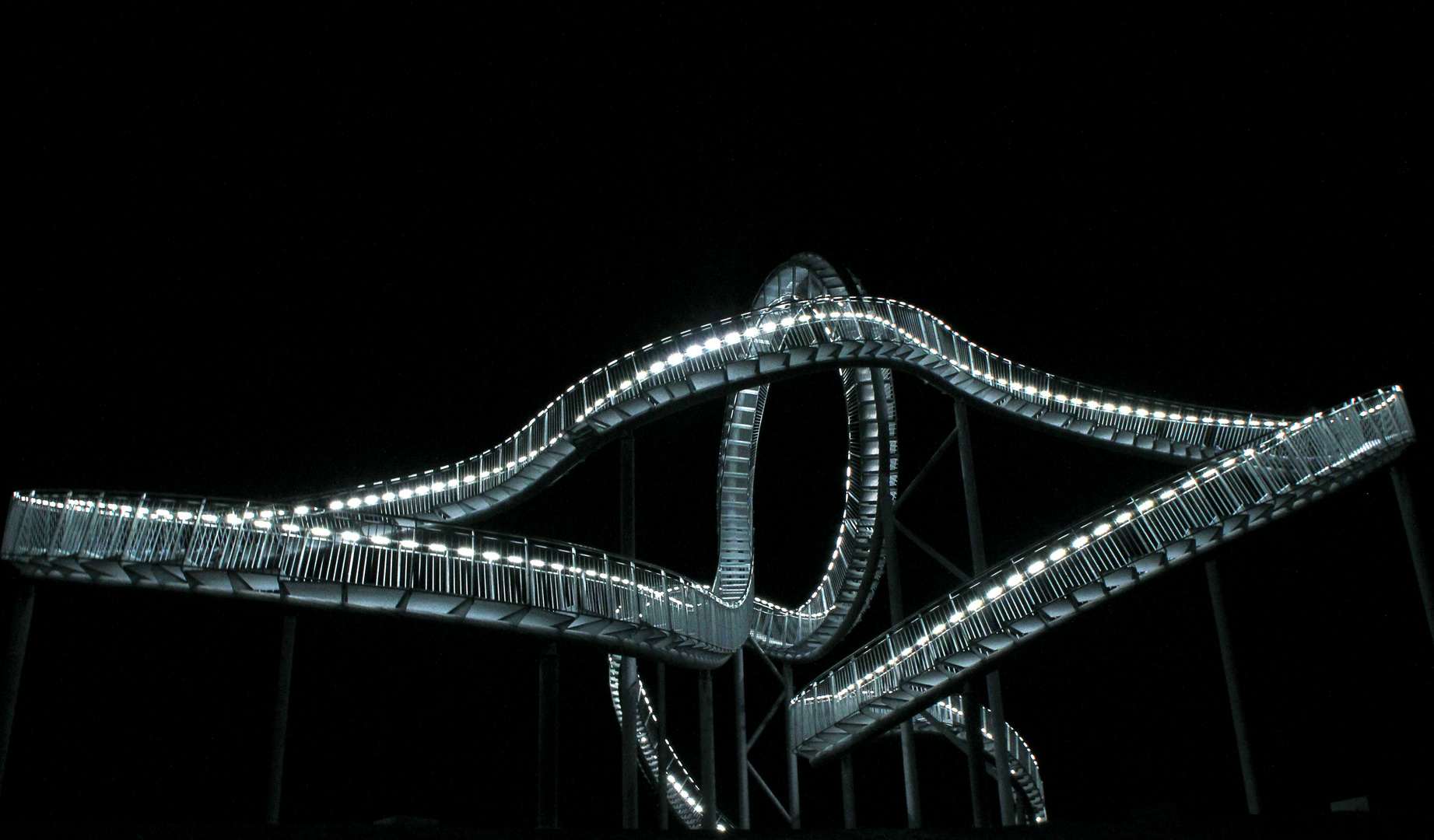 Tiger and Turtle