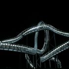 Tiger and Turtle