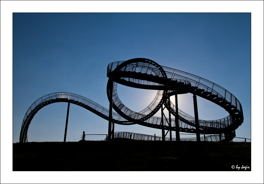 Tiger and Turtle