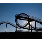 Tiger and Turtle