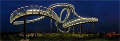 Tiger and Turtle