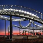 Tiger and Turtle