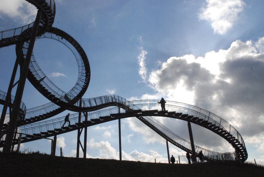 Tiger and Turtle