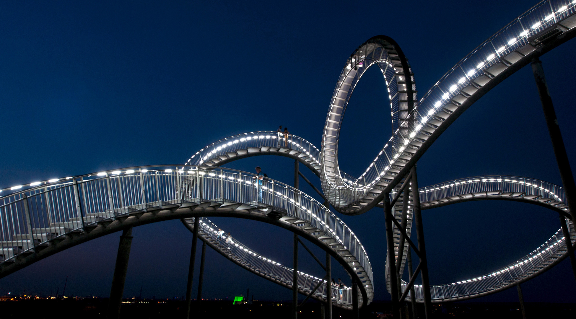  Tiger and Turtle