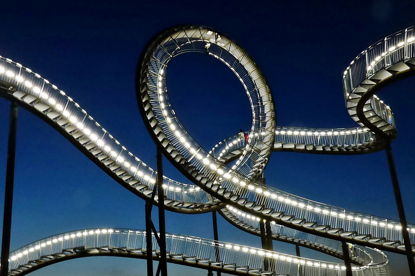 Tiger and Turtle . . .