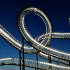 Tiger and Turtle . . .