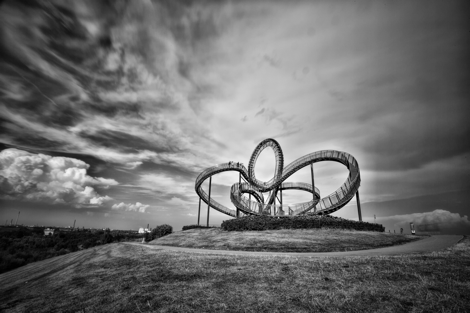 Tiger and Turtle