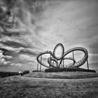 Tiger and Turtle