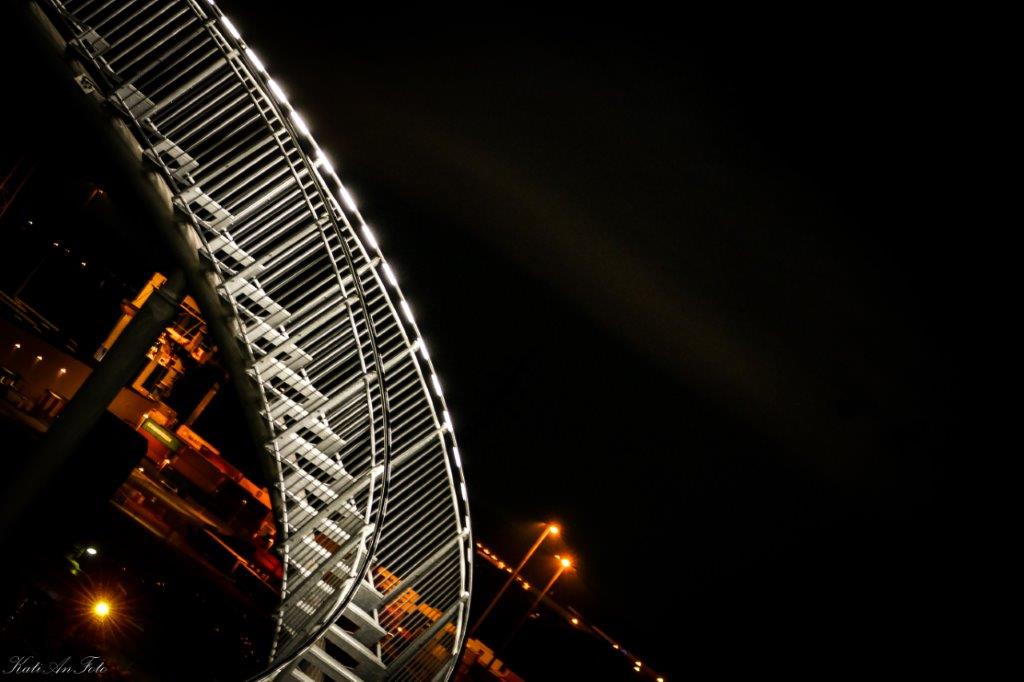 Tiger and Turtle