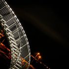 Tiger and Turtle