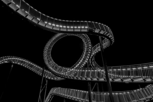 Tiger and Turtle