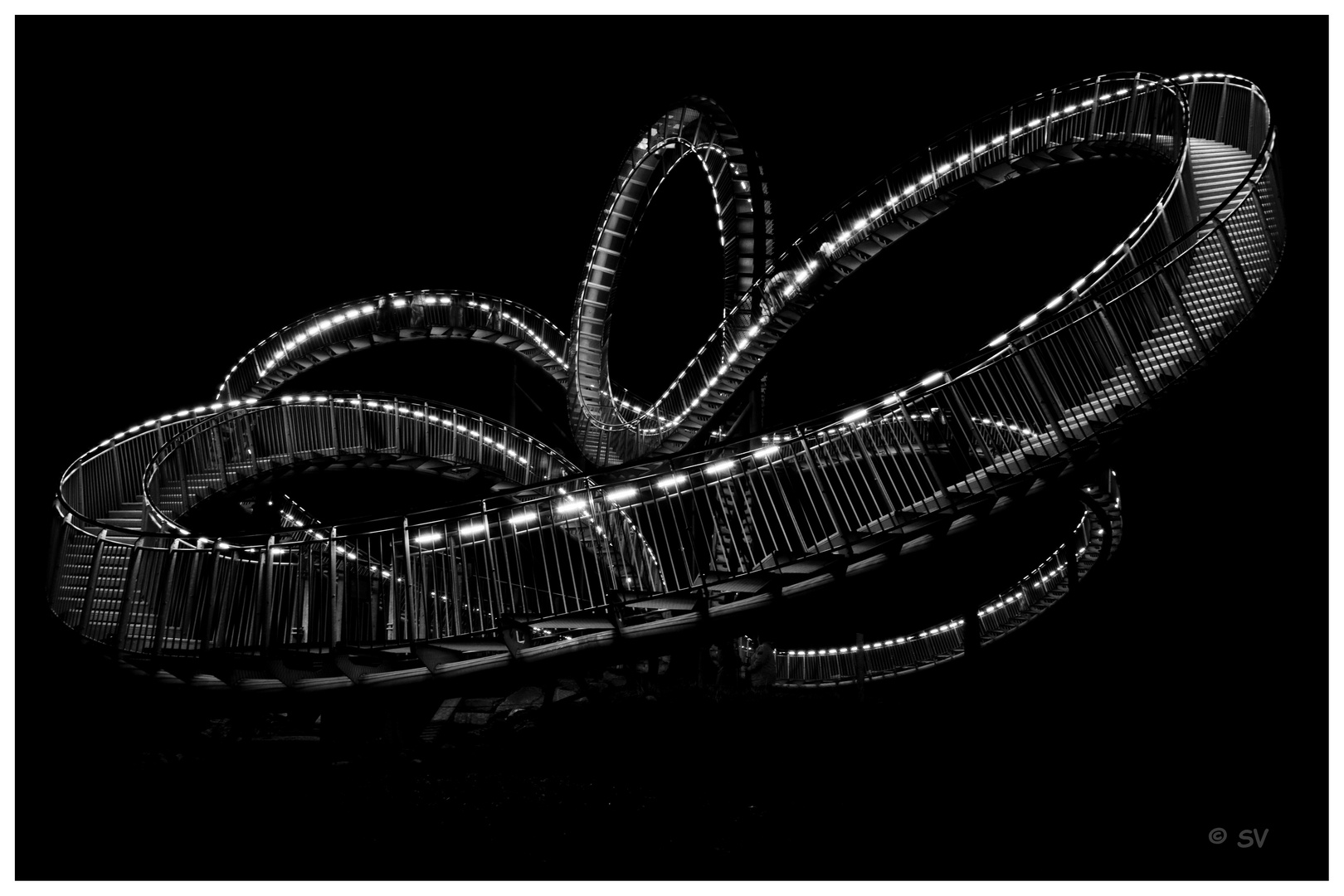 tiger and turtle