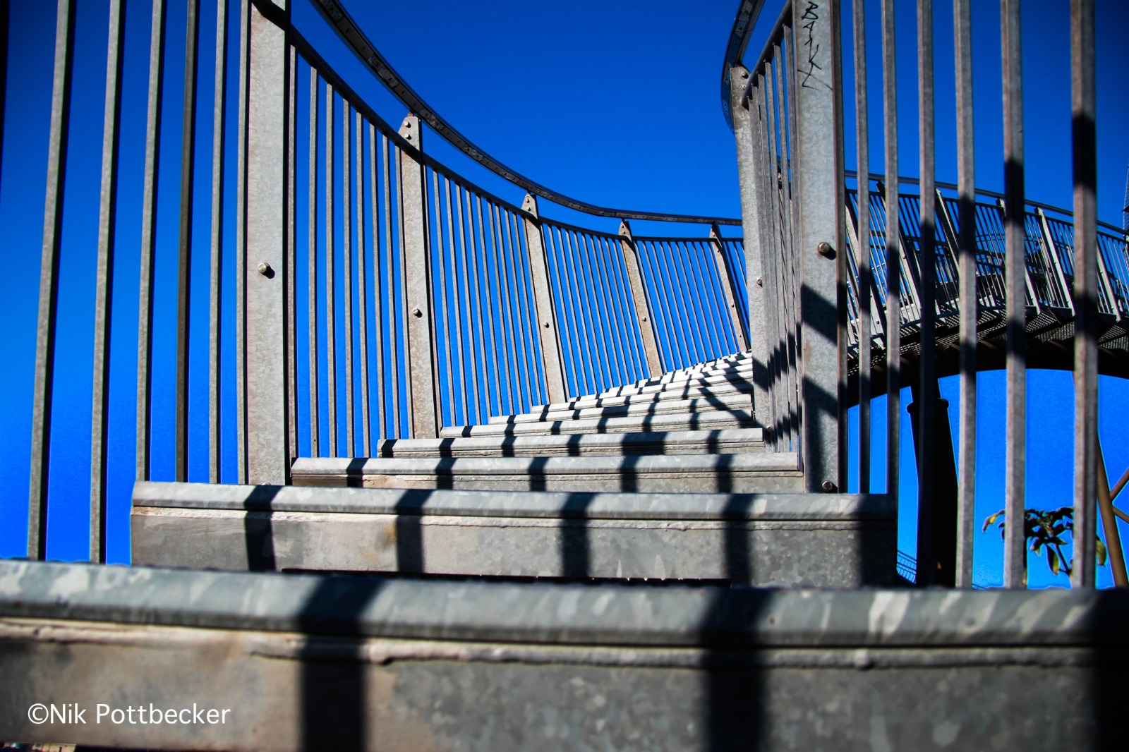 Tiger and Turtle