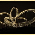 Tiger and Turtle