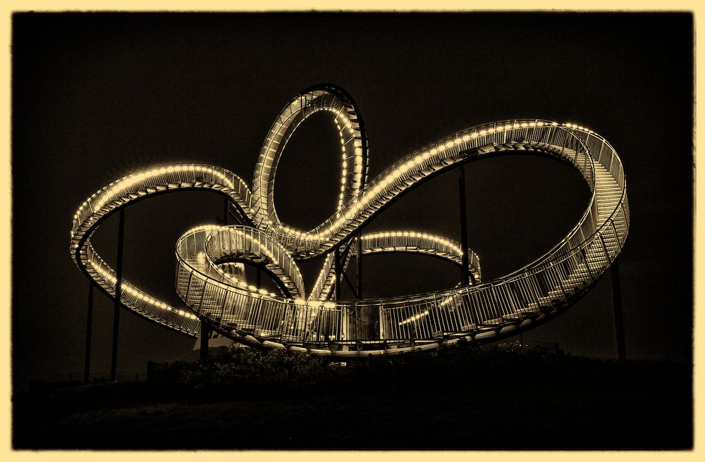 Tiger and Turtle