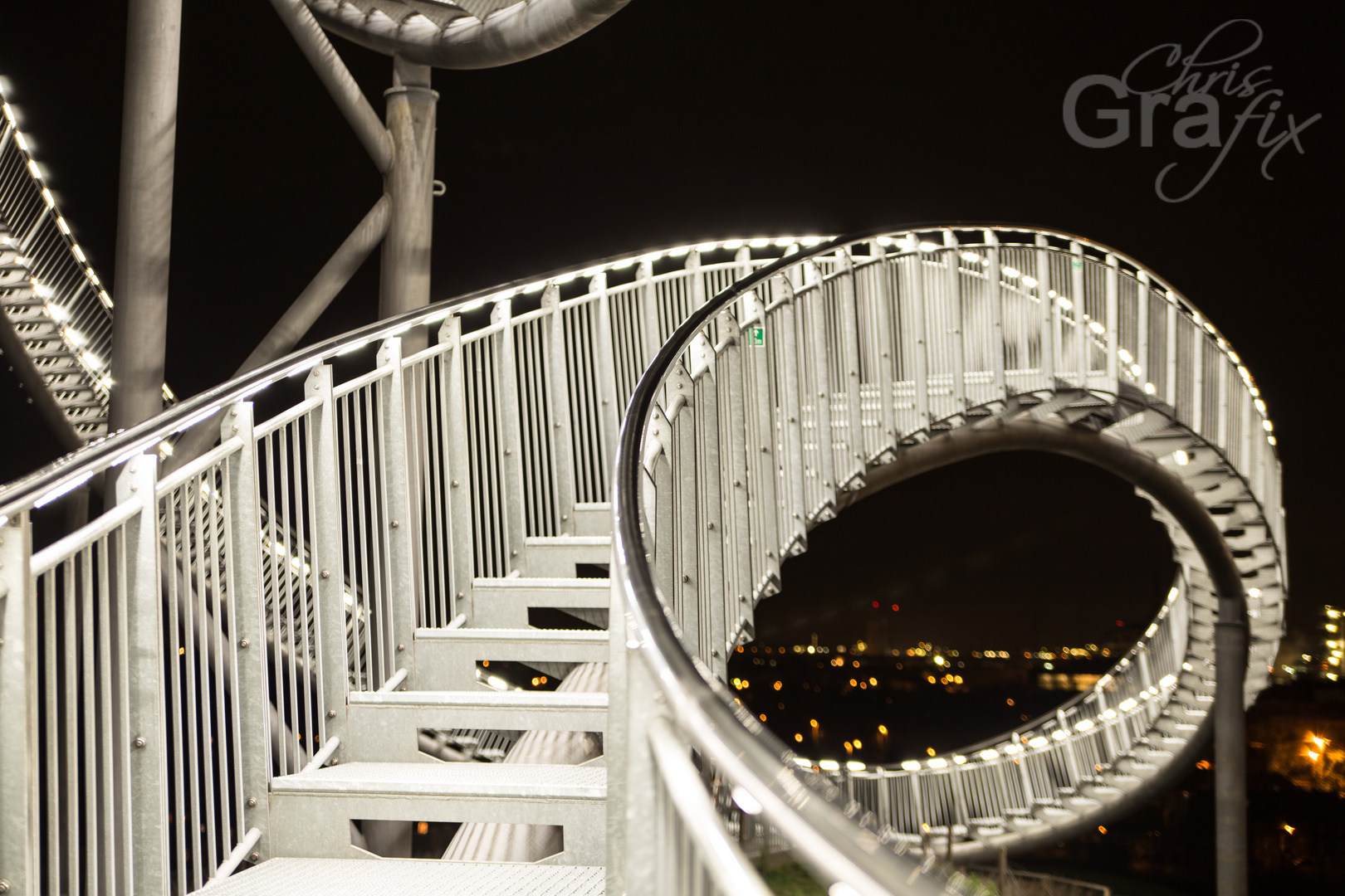 Tiger and Turtle