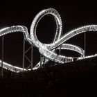 Tiger and Turtle