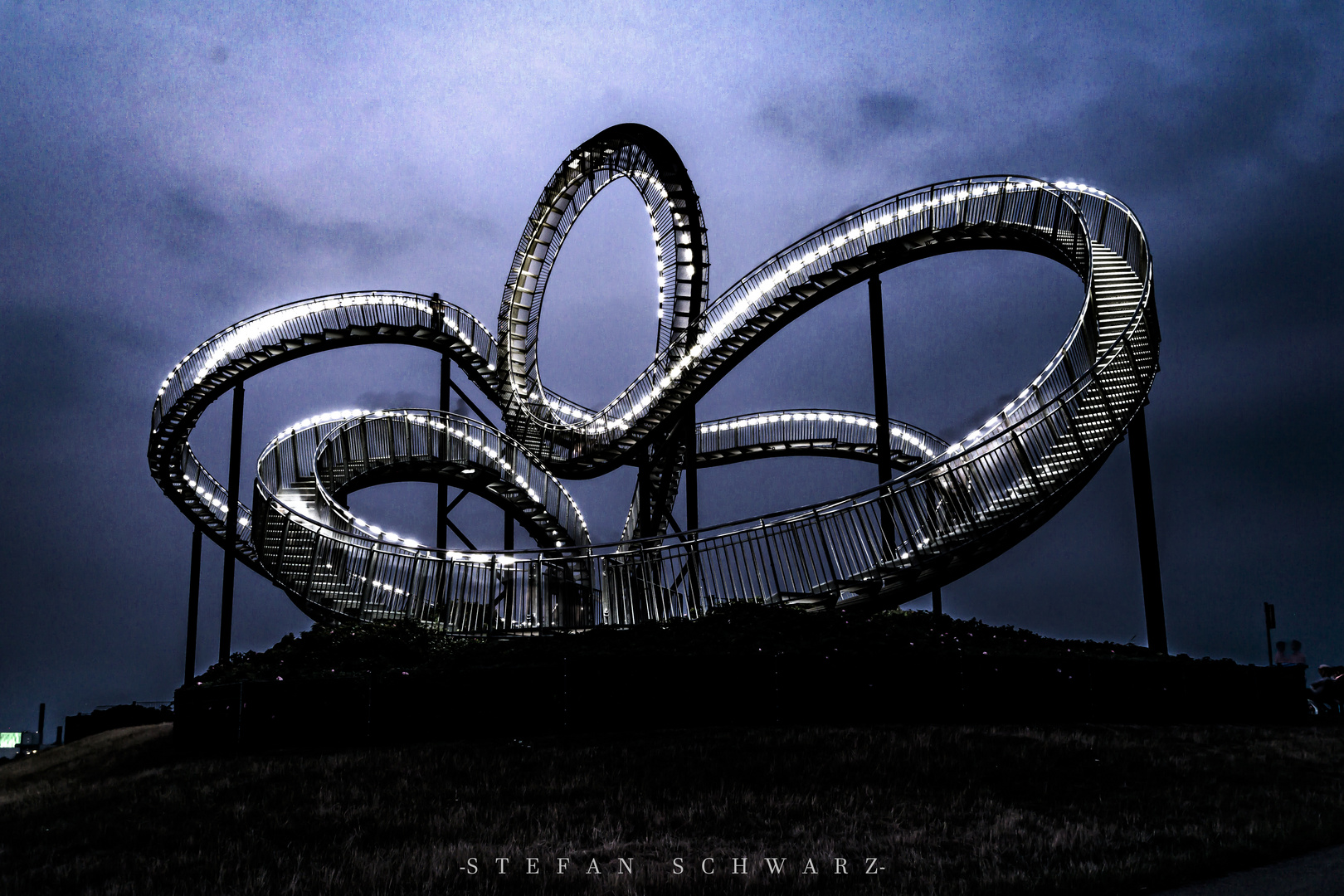 Tiger and Turtle