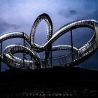 Tiger and Turtle