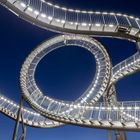 Tiger and Turtle