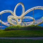 Tiger and Turtle