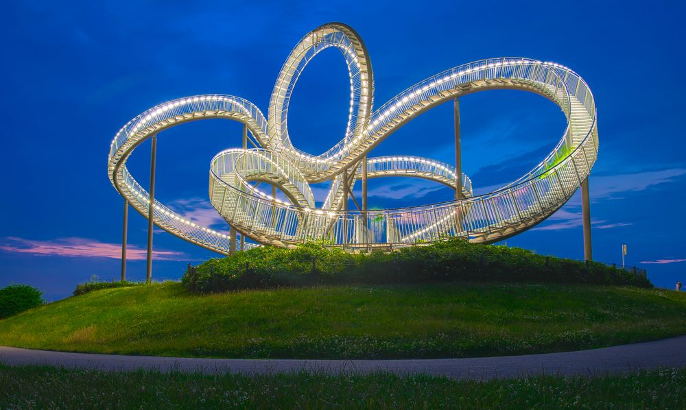 Tiger and Turtle