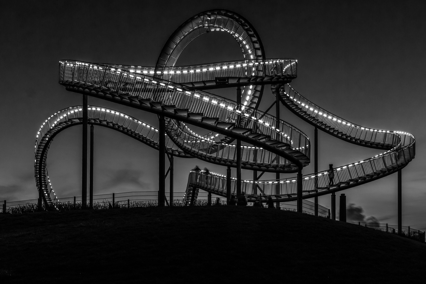 Tiger and Turtle