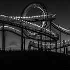 Tiger and Turtle