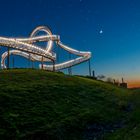 Tiger and Turtle