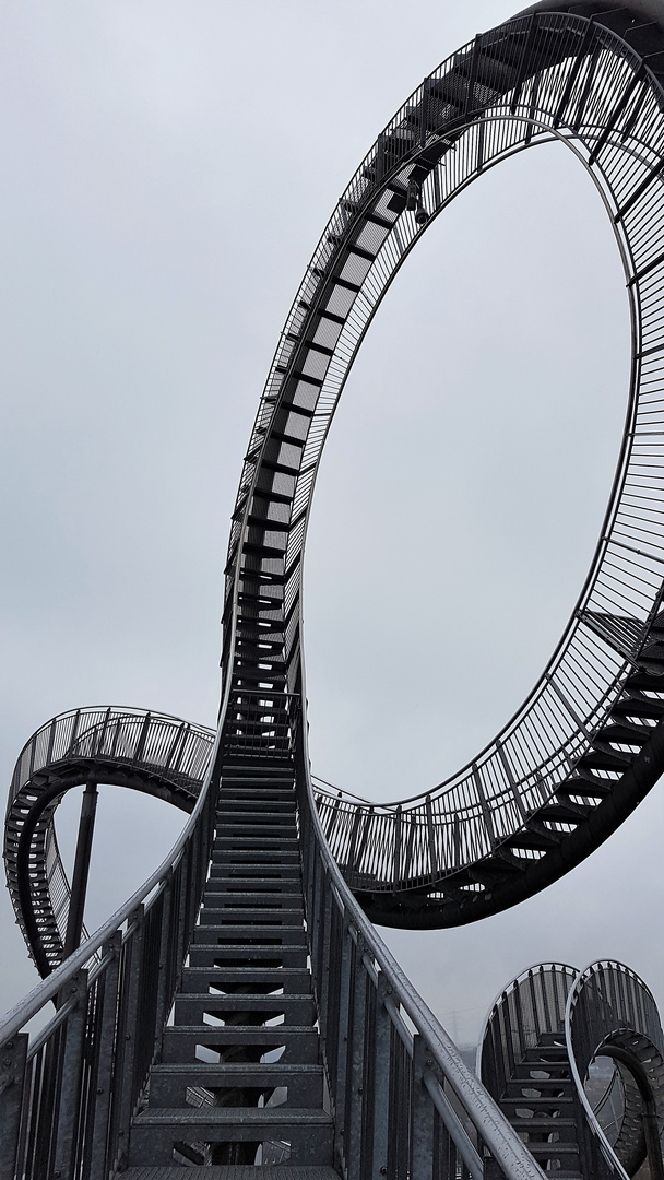 Tiger and turtle