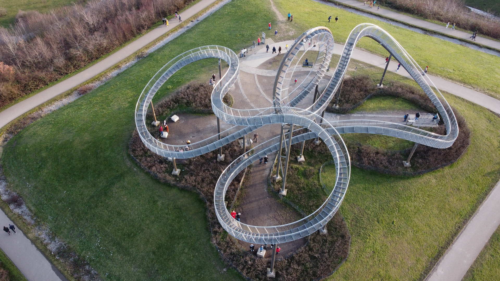 Tiger and Turtle