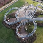 Tiger and Turtle