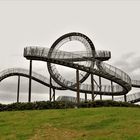 Tiger and Turtle