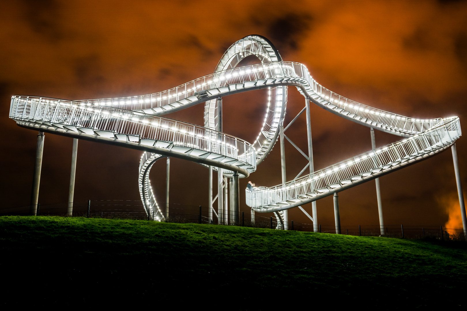 Tiger and Turtle