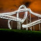 Tiger and Turtle