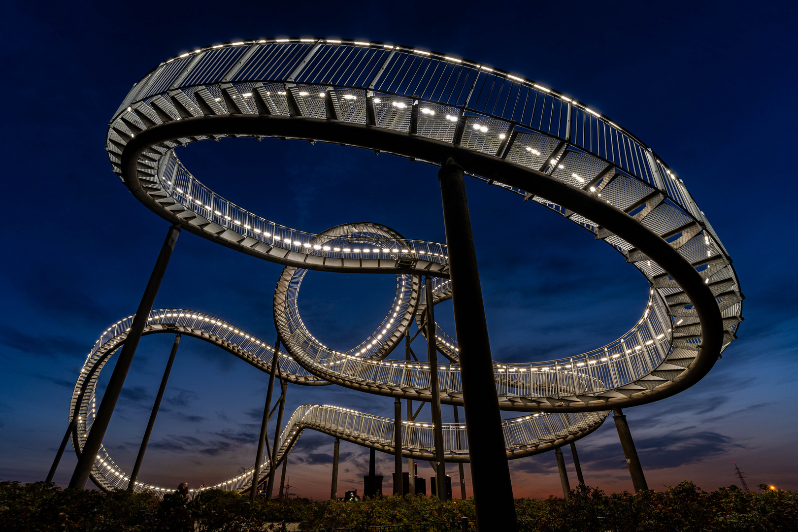 Tiger and Turtle