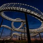 Tiger and Turtle