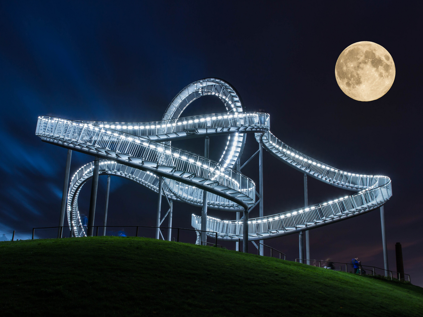 Tiger and Turtle