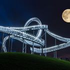 Tiger and Turtle