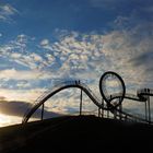 Tiger and Turtle 