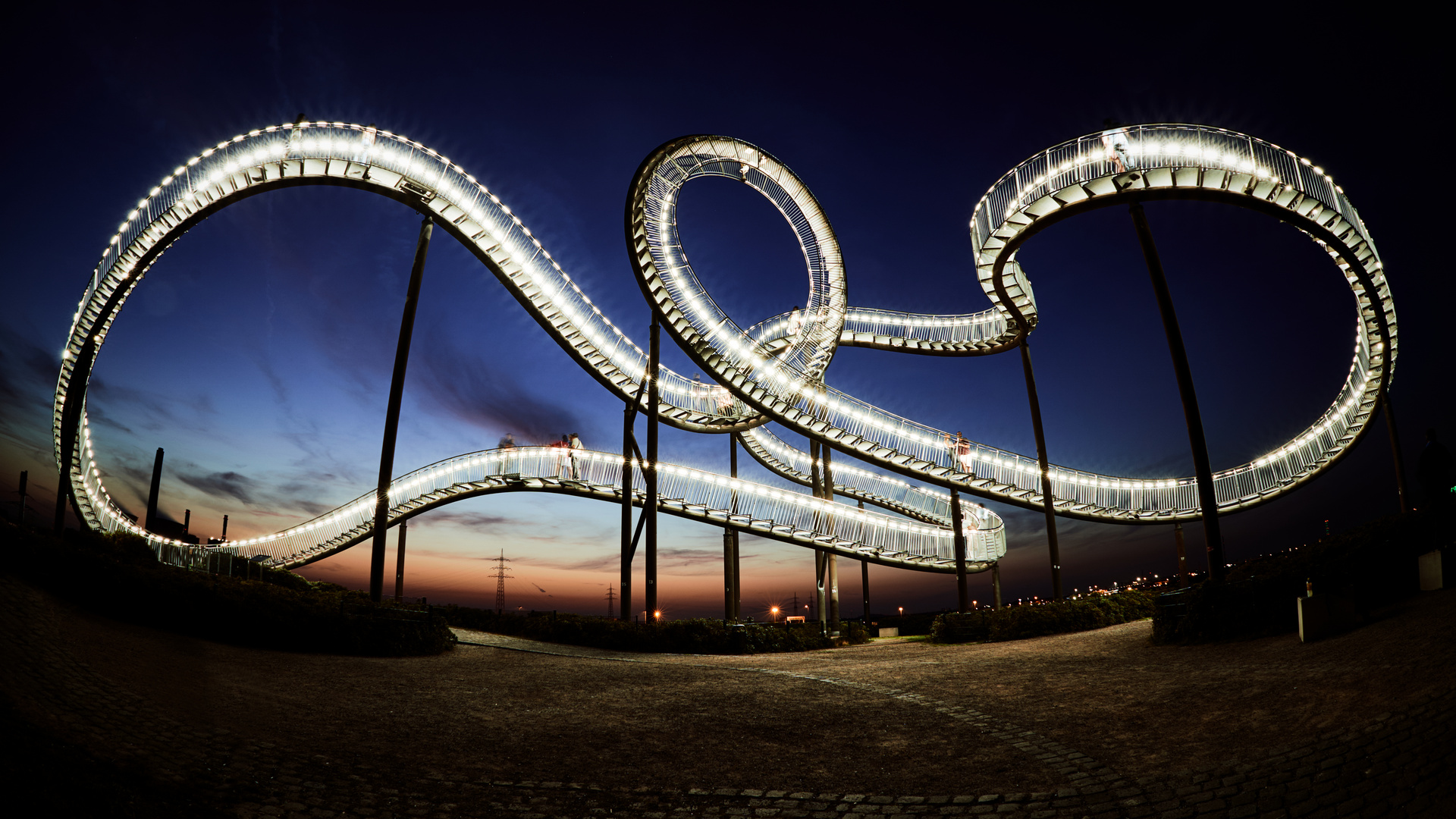 Tiger and Turtle