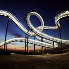 Tiger and Turtle