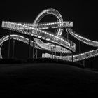 Tiger and Turtle