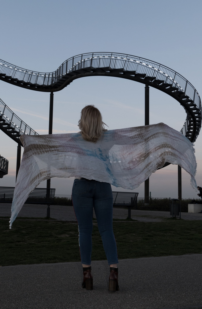 Tiger and Turtle and Alma no. 3