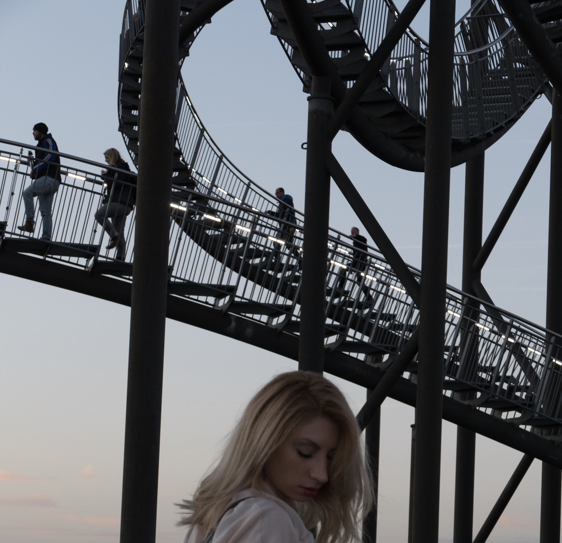 Tiger and Turtle and Alma no. 4