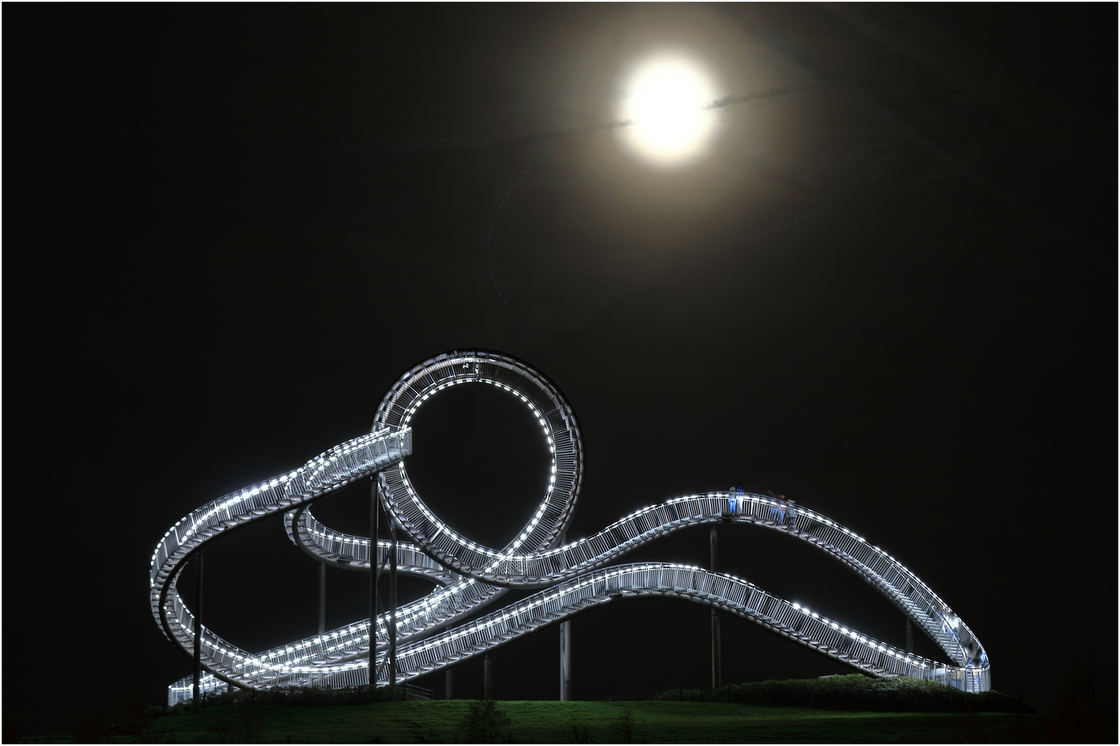 Tiger and Turtle and the Moon