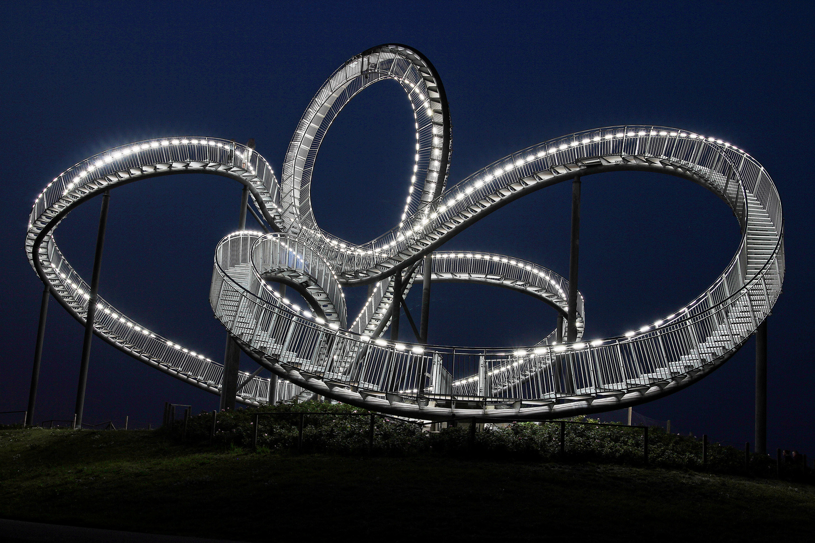 Tiger and Turtle at Night